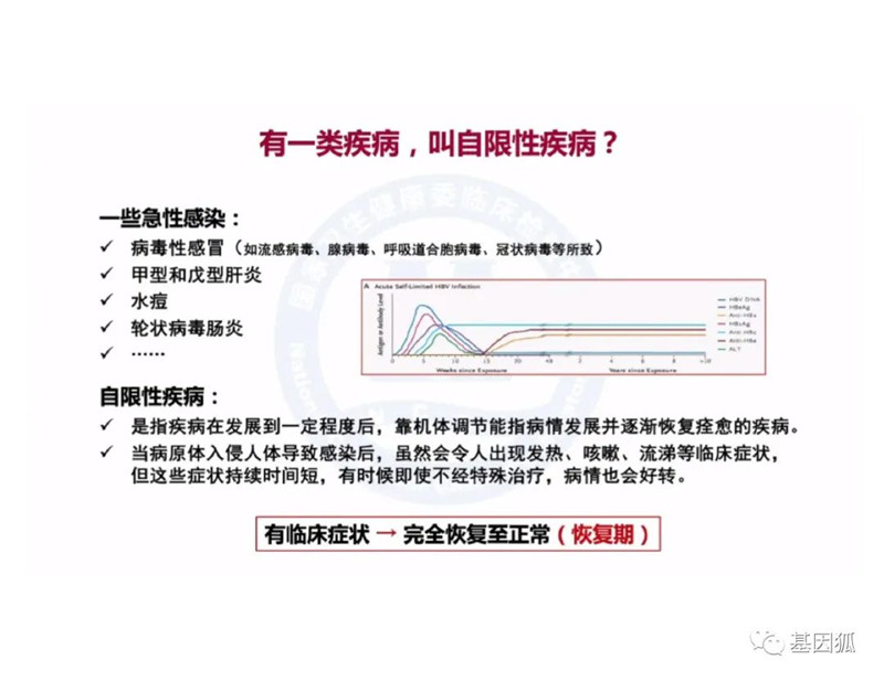 实时荧光PCR的Ct值及与病毒载量之间的关系-江西省立康科技有限公司