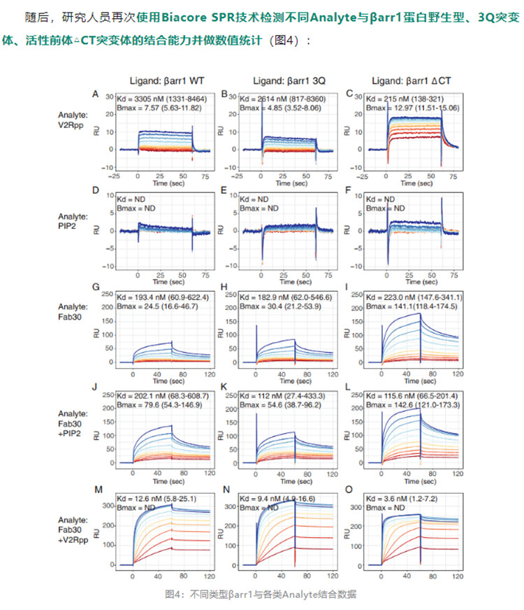 Biacore神助攻：GPCR活性调控机制研究取得突破性希望-江西省立康科技有限公司